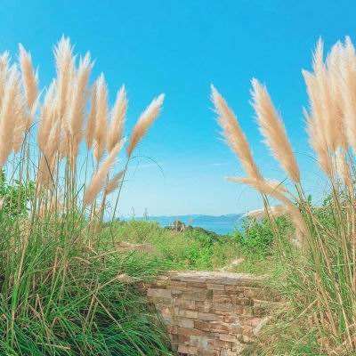 新澳门游戏网站入口下载手机版