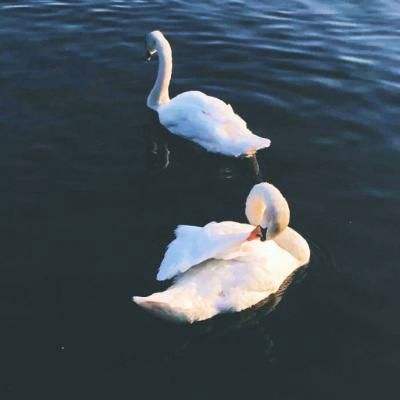 利发app手机登陆