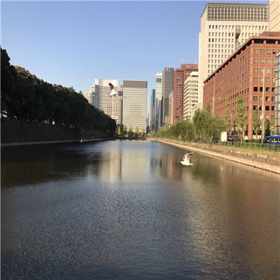 开玩棋牌下载手机版截图