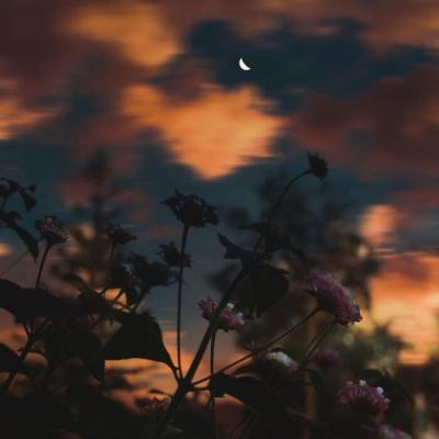 皇冠新体育·(Crown)截图